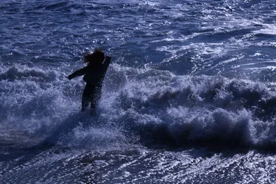 DSC_0457 (Large).JPG